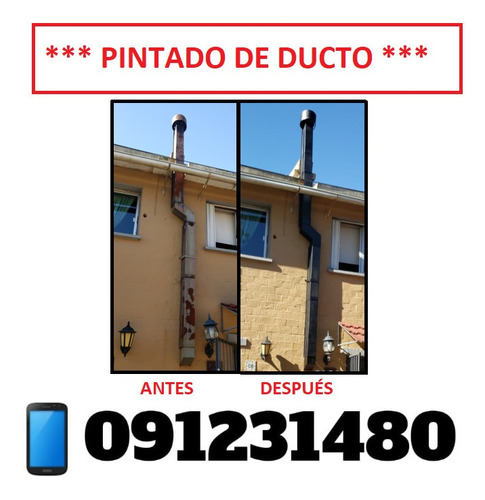 Deshollinador Bombero Activo Montevideo Y Canelones
