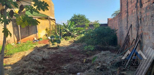 Imagem 1 de 4 de Terreno À Venda, 275 M² Por R$ 190.000,00 - Pacaembu - Londrina/pr - Te0535