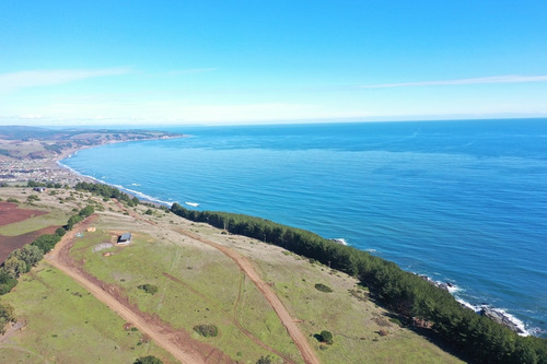 Vista De Primera Línea, Costa Vichuquén
