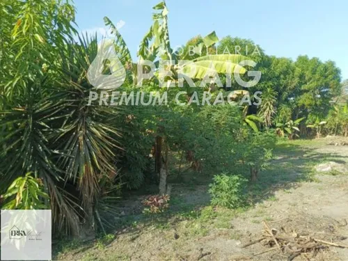 Venta Terreno En Guatire (em)