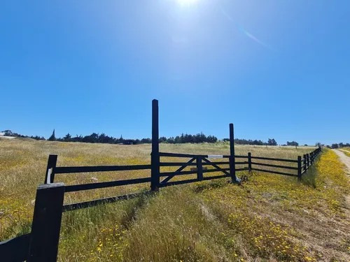 Sitio En Venta En Pichilemu