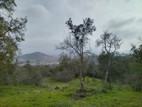 A 15 Minutos De San Fernando