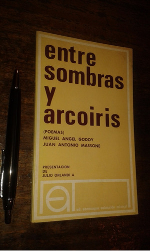 Entre Sombras Y Arcoiris / M Angel Godoy J Antonio Massone