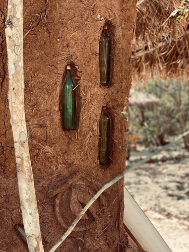 Imagen 15 de 30 de Lote De 1 Hectárea En Comunidad Eco Sustentable En Tulum P1970