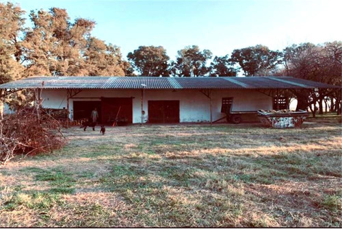 Imagen 21 de 21 de Venta Campo De 195 Ha. En Manzanares Pilar - Único