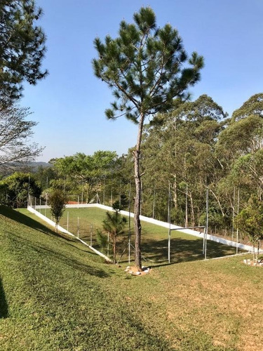 Imagem 5 de 24 de Chácara À Venda, 7400 M² Por R$ 750.000,00 - Caioçara - Jarinu/sp - Ch0017