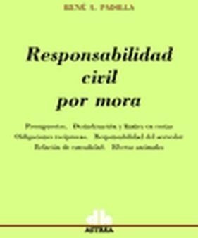 Responsabilidad Civil Por Mora