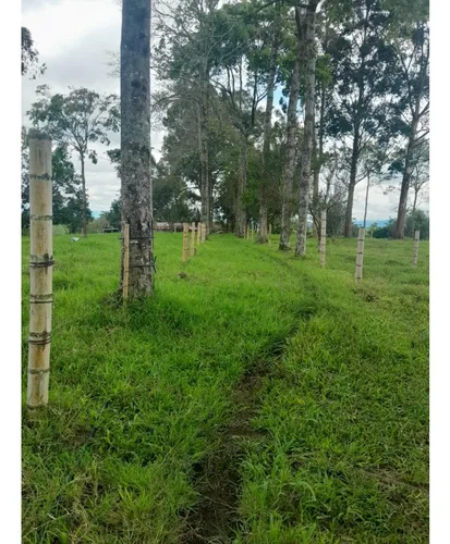 Venta Finca Montenegro Sector Vereda Pueblo Rico - 11 Cuadras