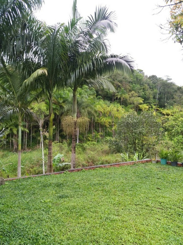 Imagem 7 de 19 de Sítio À Venda Em Juquiá - Sp - 314 - 70534868
