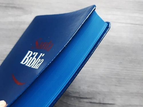 Santa Biblia