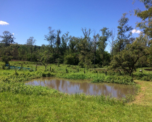 Chácara 8.870 M² - Morungava - Gravataí - Rs - 1594 - 32420115