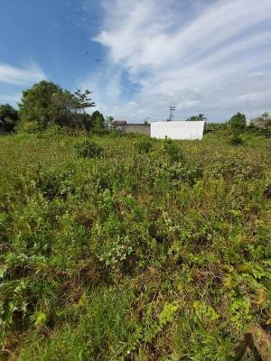 Imagem 3 de 5 de Terreno No Litoral Em Itanhaém Lado Praia! - 7966 Lc