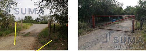 Rancho En Venta Sobre Carretera Tuxpan - Tampico, Ozuluama Veracruz
