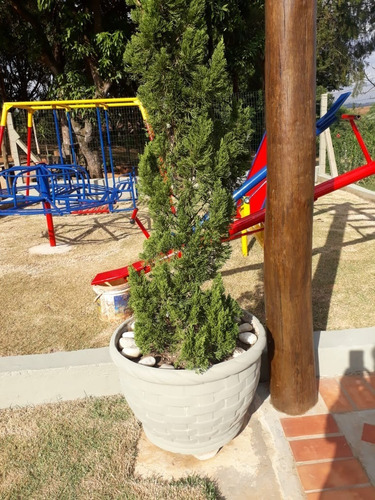 Imagem 22 de 27 de Chácara 31mil M2, Rica Em Água Com Tanques Com Peixes, Casa Sede, Área Gourmet Com Churrasqueira E Piscina, Playground, Wifi, Ótima Localização - Ch00250 - 70806333