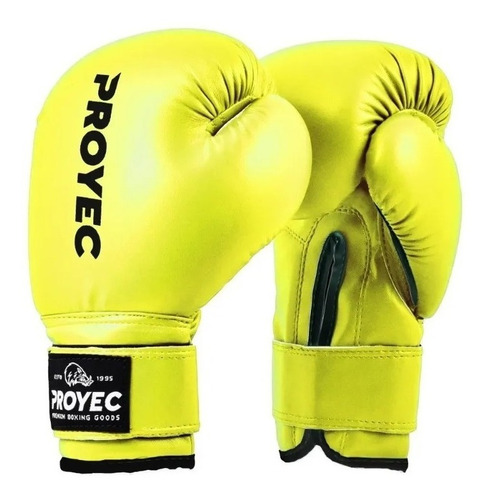 Guantes Boxeo Proyec Box Infantil Niño Importado Cke