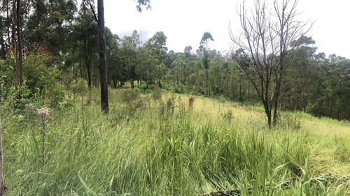 (k.a) Corra Antes Que Acabe - 1.000m2 Confira Lotes Fechados