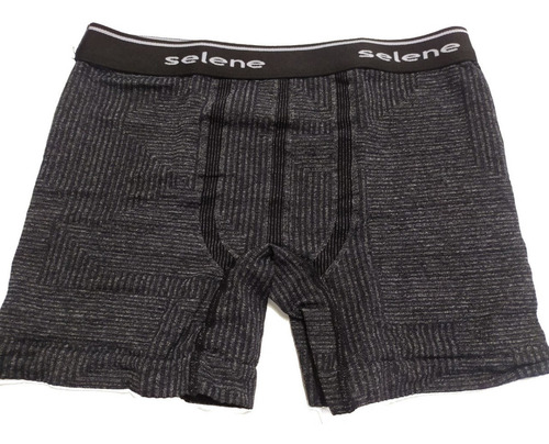 Imagem 2 de 10 de Kit 5 Cuecas Boxers Selene Sem Costura Em Poliamida