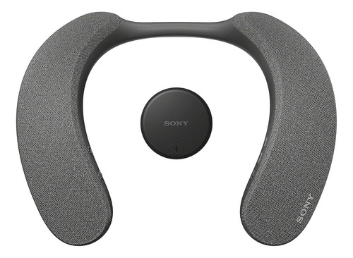Sony Srs-ns7 Altavoz Bluetooth Inalambrico Con Banda Para El