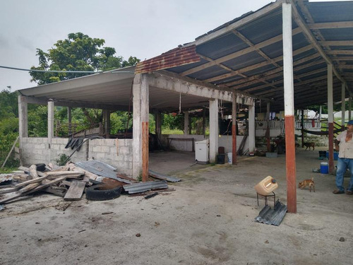 Venta Rancho 109 Has Autopista A Tampico En Tamiahua Veracruz