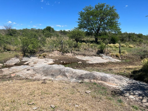 Venta Campo Villa Quillinzo (40 Hectareas) Ideal Para Loteo