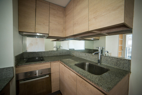 Depto 1d/1b Terraza Lindas Instalaciones Macul