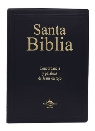 Biblia Reina Valera 1960 Negra Letra Gigante Concordancia