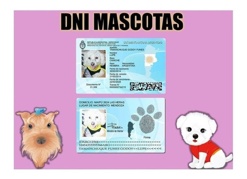 Plantillas Dni Mascotas / 3 Versiones Editables Photoshop