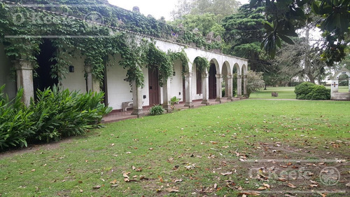Imagen 3 de 12 de 900 Has Mixtas En Venta En Chascomus - Estancia Histórica Con Laguna. Ideal Turismo O Privado Rural