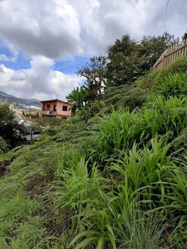 Venta Lote En Guarne