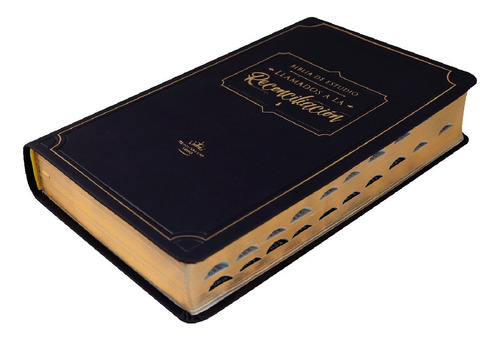 Biblia Rvr1960 Llamados A La Reconciliación Imit. Piel Negro