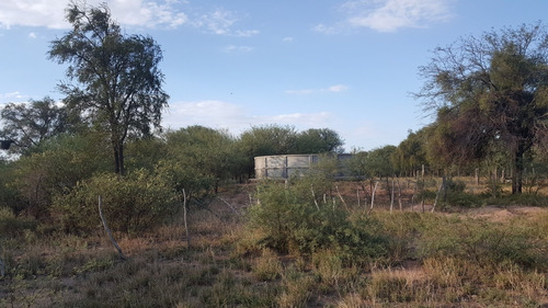 Imagen 13 de 14 de Oportunidadcampo Ganadero 1500ha Pozo Nuevo Cordoba 350 U$s