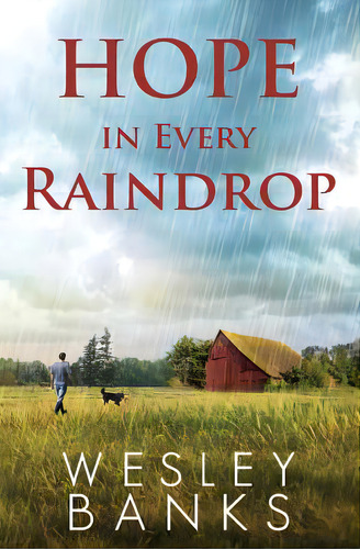 Hope In Every Raindrop, De Banks, Wesley. Editorial Lightning Source Inc, Tapa Blanda En Inglés