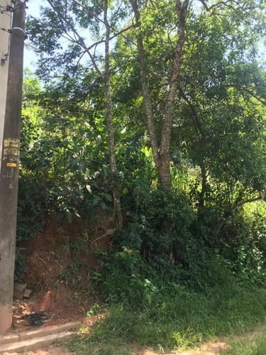 Imagem 3 de 4 de Terreno Em Polvilho - Te0094