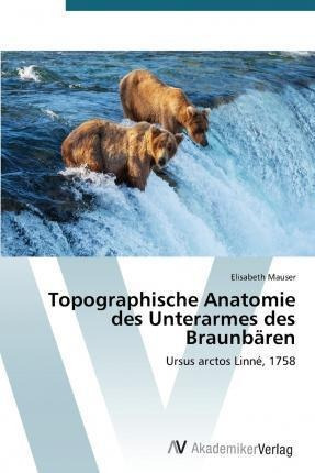 Topographische Anatomie Des Unterarmes Des Braunbaren - M...