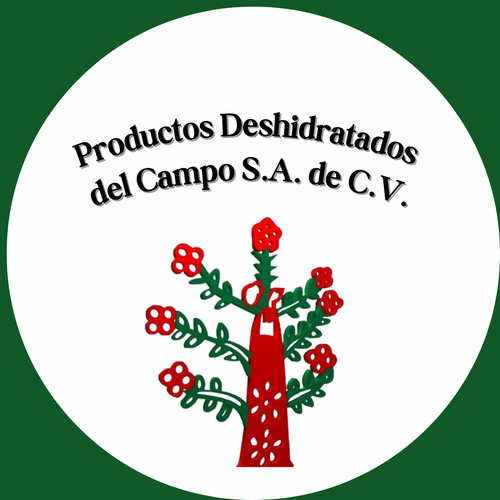 Diges-x Combate La Indigestión Y Atonía Gastrointestinal