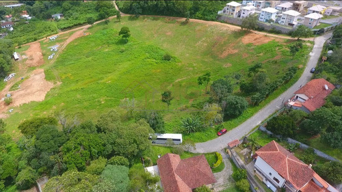Imagem 9 de 12 de Lotes Exclusivos No Cônego - Lote 09 - 252