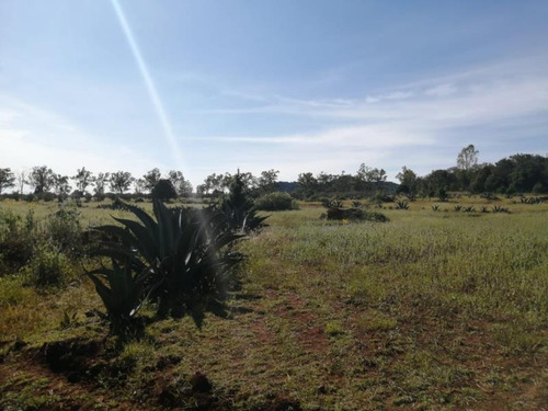 Imagen 7 de 12 de Terreno En Venta San Pablo Ojo De Agua