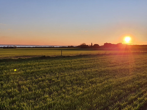 Imagen 3 de 6 de Campo En Venta En Carmelo Con Vista Al Rio De La Plata