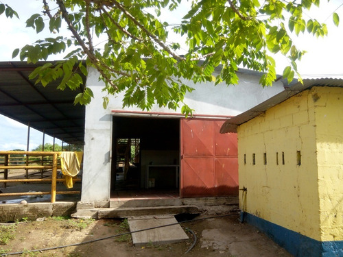Imagen 10 de 27 de Se Vende Finca En Caicara De Maturin Sec Bajo Gde Ve02-1143cai-mtru
