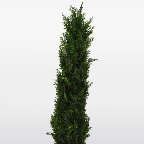 Planta Artificial Pino Con Maceta 0,9 Mts Decoracion Mli Color Verde