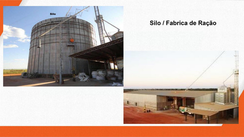 Imagem 20 de 30 de Fazenda 2444 Alqueires, Boa De Água Com Represas E Rio, Fábrica De Ração, 29 Pivôs, Área De Pastagem, Colônia, Casa Sede 600m2, Galpões,pista De Pouso - Fa00102 - 70229637