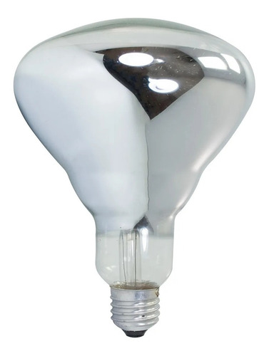Kit 10 Focos Calienta Comida Adir 250 Watts Incandescente