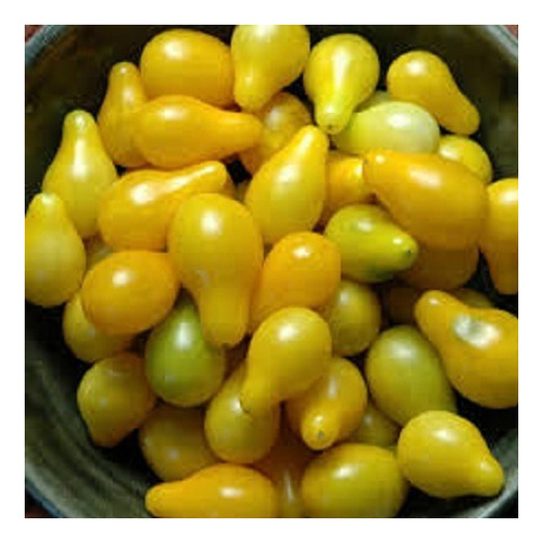 Sementes Tomate Pera Laranja - 100mg = 50