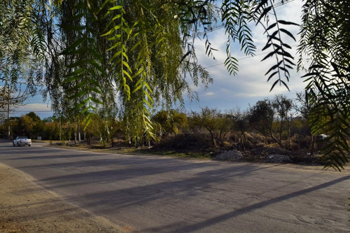 Imagen 6 de 21 de Terreno - Nuevo Merlo