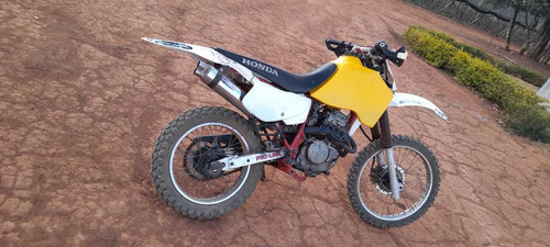 Imagem 3 de 4 de Cabrita Sahara / Xl