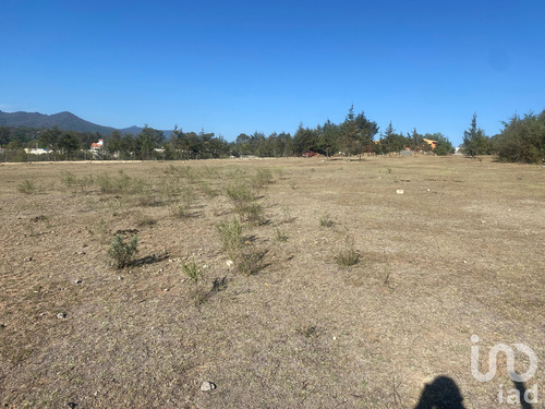 Venta Terreno 0 Ambiente La Mora