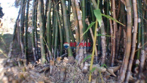 Imagem 22 de 30 de Chácara Com 2 Dormitórios À Venda, 1000 M² Por R$ 1.748.000,00 - Parque Jatibaia (sousas) - Campinas/sp - Ch0097