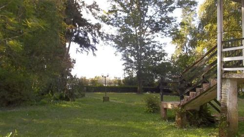 Imagen 15 de 23 de Casa - Parana De Las Palmas Tigre