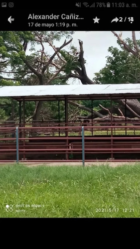 Imagen 15 de 30 de Finca 220 Ha Privadas, Estado Apure