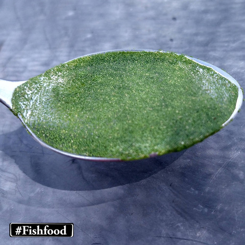 Imagem 2 de 6 de Porção Azolla-e-wolffia-brasiliens Planta Aquatica Flutuante